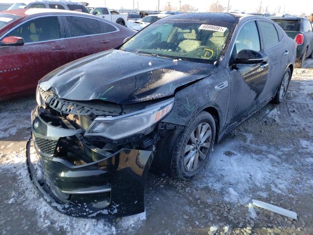 2016 KIA OPTIMA LX 5XXGT4L39GG081852