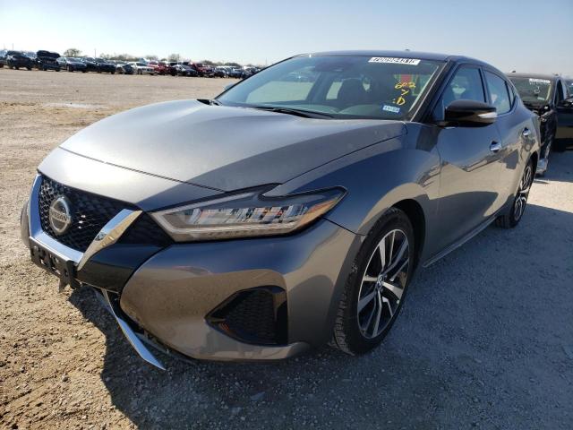 2022 NISSAN MAXIMA 1N4AA6CV4NC502016