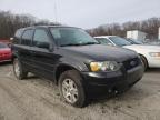 2006 FORD  ESCAPE