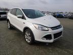 2013 FORD  ESCAPE