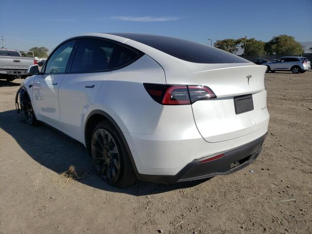 2021 TESLA MODEL Y 5YJYGDEE5MF161624