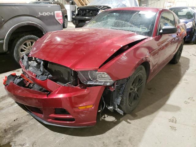 1ZVBP8AM0E5225210 Ford Mustang 2014. Фото: 1