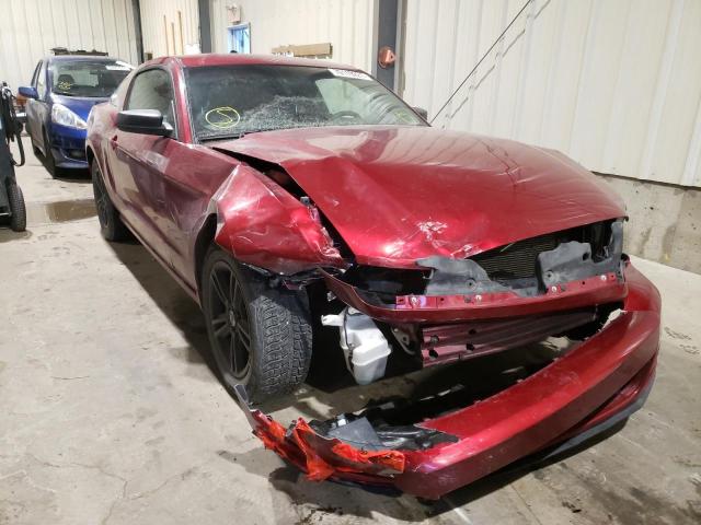 1ZVBP8AM0E5225210 Ford Mustang 2014
