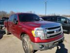 2013 FORD  F-150