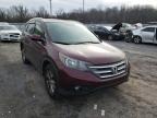 2014 HONDA  CRV