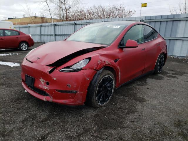 2021 TESLA MODEL Y 5YJYGDEE3MF176297