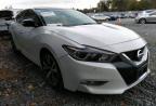 2016 NISSAN  MAXIMA