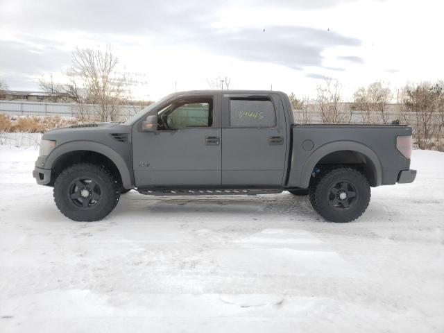 2013 FORD F150 SVT R 1FTFW1R66DFD46160