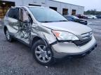 2009 HONDA  CRV