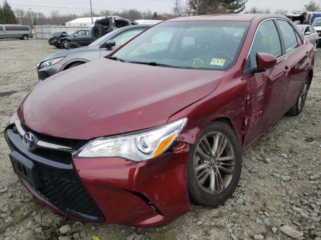 2016 TOYOTA CAMRY LE - 4T1BF1FK8GU599394