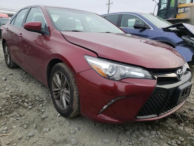 2016 TOYOTA CAMRY LE - 4T1BF1FK8GU599394