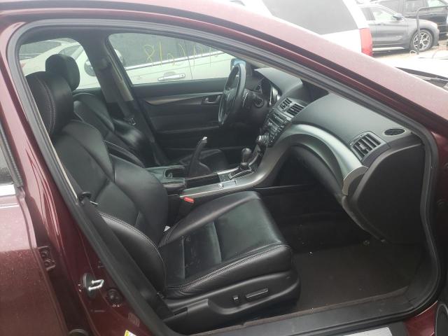 2010 ACURA TL 19UUA9F51AA008109