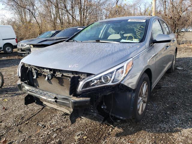 5NPE24AFXFH251095 Hyundai Sonata Se 2015. Фото: 1