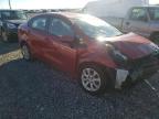 2014 KIA  RIO