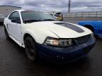 2000 FORD  MUSTANG