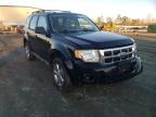 2009 FORD  ESCAPE