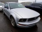 2005 FORD  MUSTANG