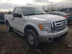 2010 FORD  F150