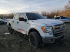 2013 FORD  F-150