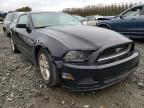 2014 FORD  MUSTANG