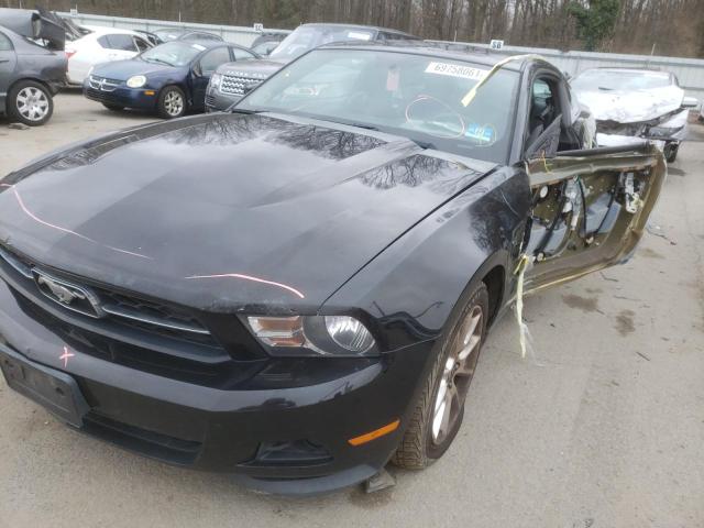 1ZVBP8AM4B5102828 Ford Mustang 2011. Фото: 1