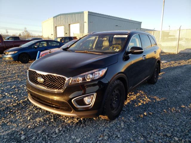 5XYPHDA52GG091107 Kia Sorento Ex 2016. Фото: 1