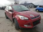 2013 FORD  ESCAPE