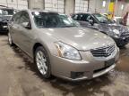 2008 NISSAN  MAXIMA