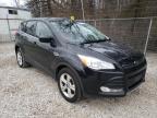 2014 FORD  ESCAPE