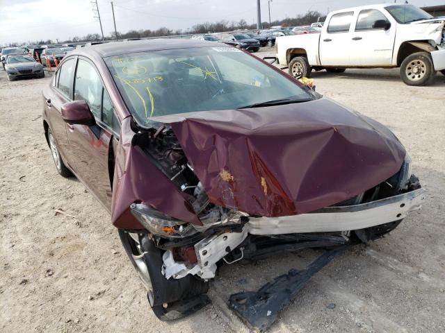 2013 HONDA CIVIC LX - 19XFB2F51DE285713