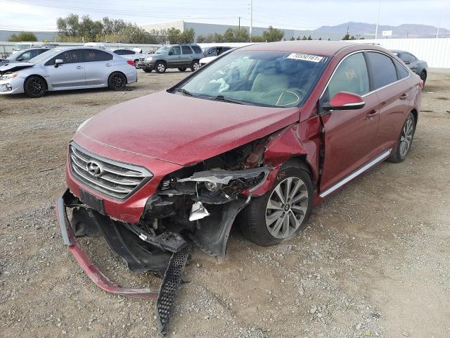 5NPE34AF9FH144293 Hyundai Sonata Spo 2015. Фото: 1