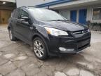 2013 FORD  ESCAPE