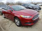 2013 FORD  FUSION