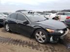 2013 ACURA  TSX