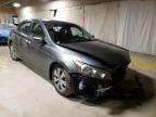 2010 HONDA  ACCORD