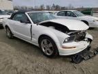 2007 FORD  MUSTANG