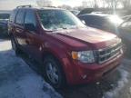 2010 FORD  ESCAPE