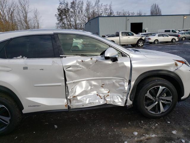 2020 LEXUS NX 300H JTJGJRDZ2L5004371