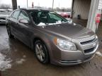 2011 CHEVROLET  MALIBU