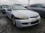 2005 HONDA  ACCORD