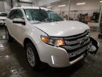 2014 FORD  EDGE