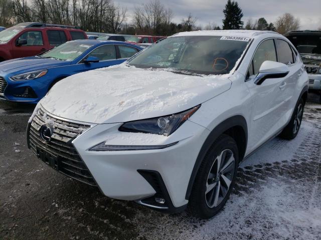 2020 LEXUS NX 300H JTJGJRDZ2L5004371