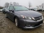 2013 HONDA  ACCORD