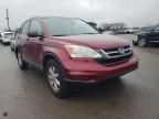 2011 HONDA  CRV