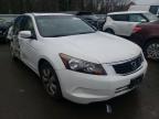 2010 HONDA  ACCORD