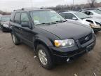 2007 FORD  ESCAPE