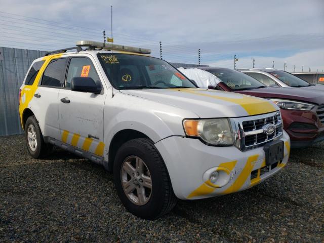 Salvage cars for sale from Copart Antelope, CA: 2010 Ford Escape Hybrid
