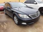 2009 LEXUS  LS460