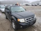 2011 FORD  ESCAPE