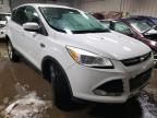 2013 FORD  ESCAPE